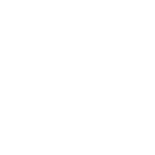 Logo de Evolve Academy